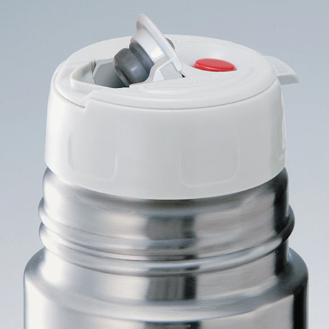 17 oz. Stainless Bottle SV-GWE50