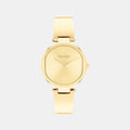 Ck Elevated Women Quartz Gold Dial Analog Stainless Steel Watch 25200309