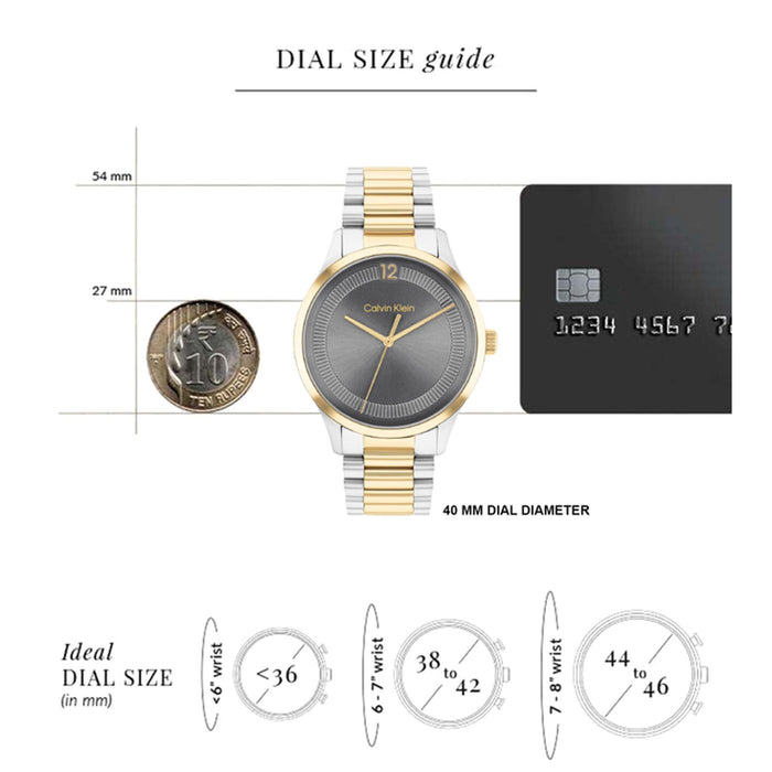 Ck Iconic Unisex Quartz Grey Dial Analog Stainless Steel Watch 25200226