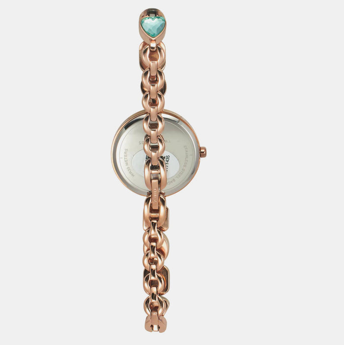 Timex Stainless Steel Round watch