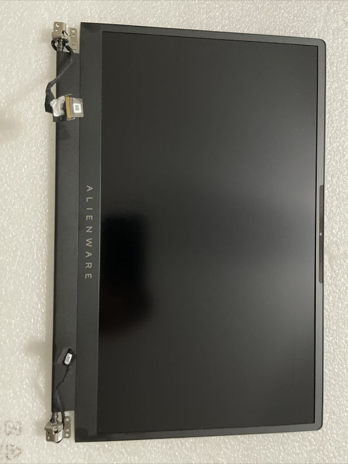 Genuine Dell Alienware M15 X15 RTX 3070 P111F 15.6" Lcd Screen 12TVK HMH2Y R1 L8