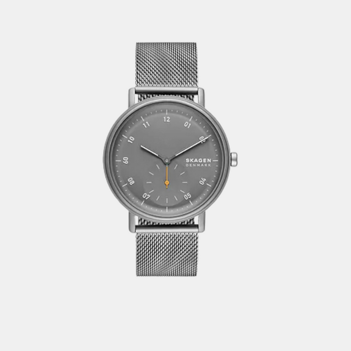 Skagen Round Grey Analog watch