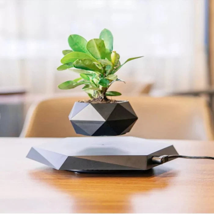 Levitating rotating floating plant flower pot