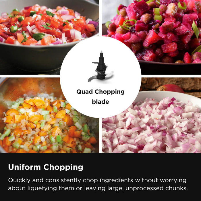 Ninja Professional Food Processor