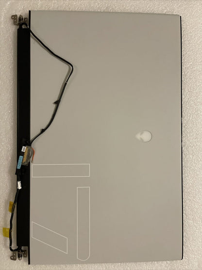 Oem DELL ALIENWARE M17 R3 R4 17.3" FULL HD 300HZ LAPTOP LCD SCREEN  4VP88 H2 L4