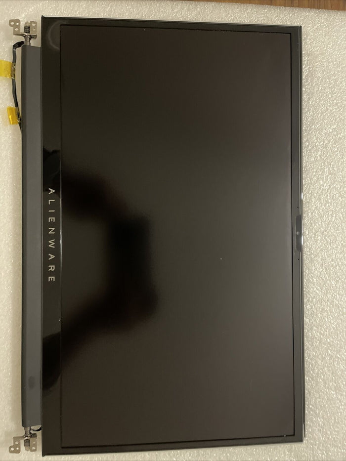 Oem DELL ALIENWARE M17 R3 R4 17.3" FULL HD 300HZ LAPTOP LCD SCREEN  4VP88 H2 L4
