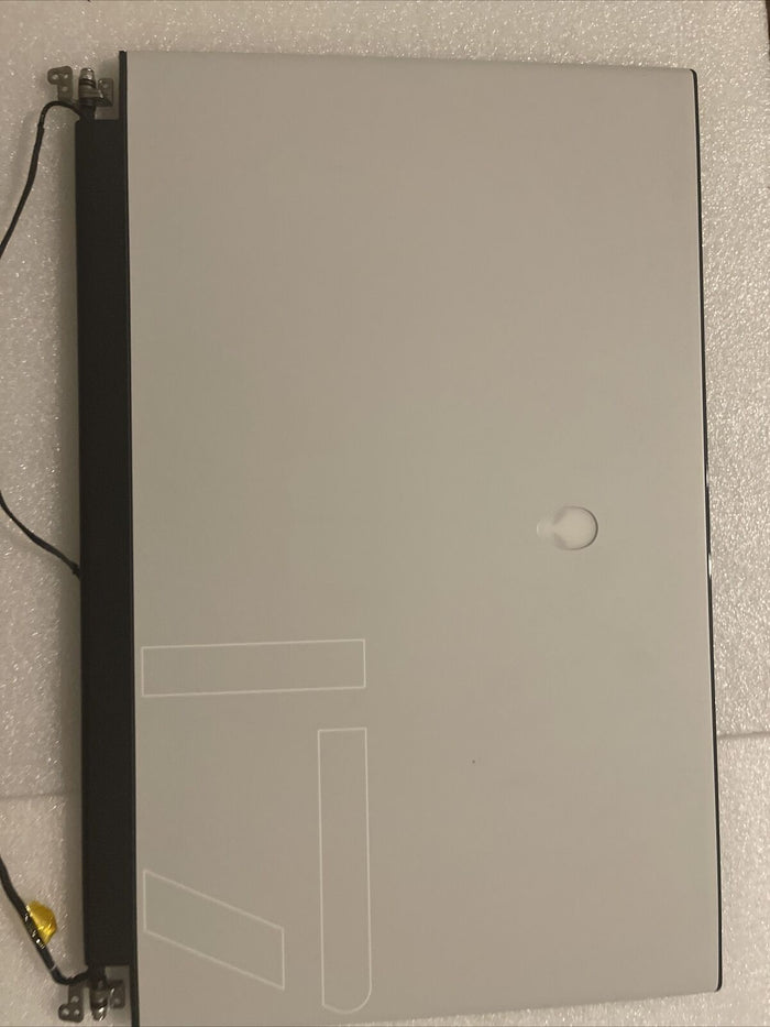 Oem DELL ALIENWARE M17 R3 R4 17.3" FULL HD 300HZ LAPTOP LCD SCREEN  4VP88 UH3 L5