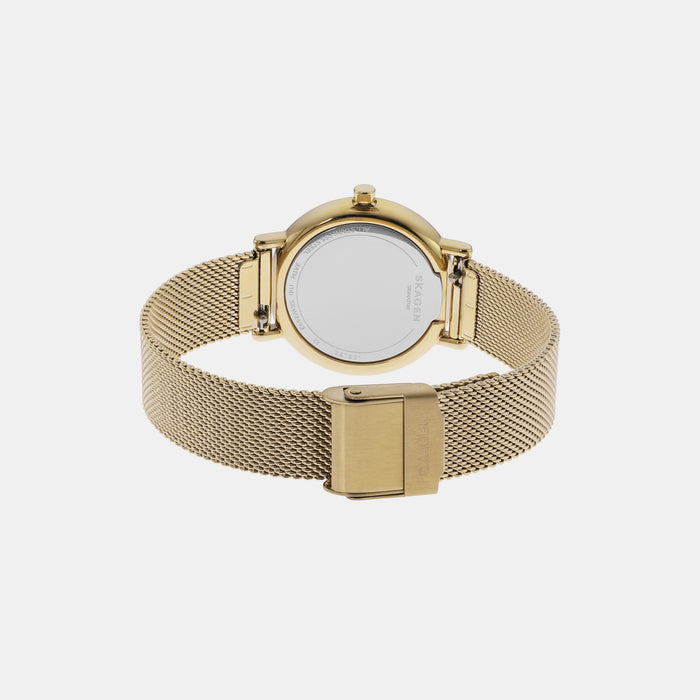 Skagen Mesh White watch